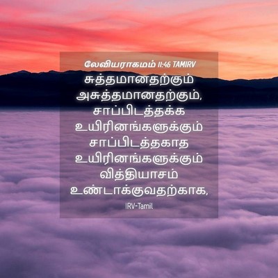 Picture 04 - லேவியராகமம் 11:46 TAMIRV - சுத்தமானதற்கும் - Bible Verse Picture