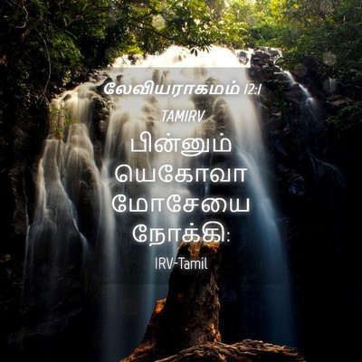 Picture 04 - லேவியராகமம் 12:1 TAMIRV - பின்னும் யெகோவா - Bible Verse Picture