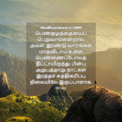 Picture 04 - லேவியராகமம் 12:5 TAMIRV - பெண்குழந்தையைப் - Bible Verse Picture