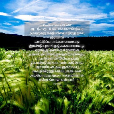 Picture 04 - லேவியராகமம் 12:8 TAMIRV -  - Bible Verse Picture