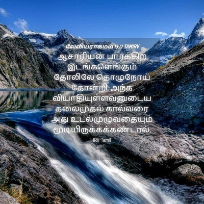 Picture 04 - லேவியராகமம் 13:12 TAMIRV - ஆசாரியன் - Bible Verse Picture