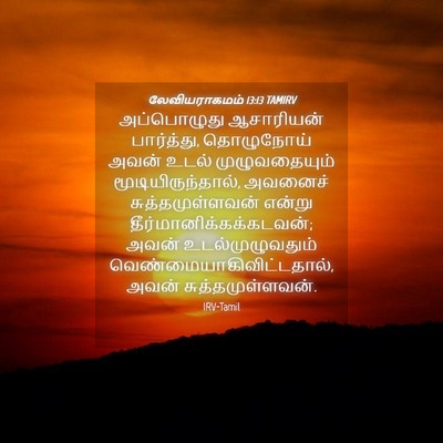 Picture 04 - லேவியராகமம் 13:13 TAMIRV - அப்பொழுது - Bible Verse Picture