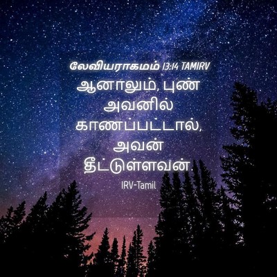 Picture 04 - லேவியராகமம் 13:14 TAMIRV - ஆனாலும், புண் - Bible Verse Picture