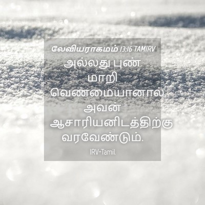 Picture 04 - லேவியராகமம் 13:16 TAMIRV - அல்லது புண் மாறி - Bible Verse Picture