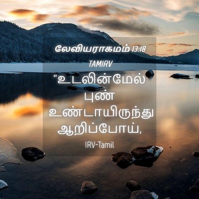 Picture 04 - லேவியராகமம் 13:18 TAMIRV - “உடலின்மேல் புண் - Bible Verse Picture