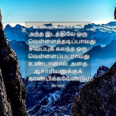 Picture 04 - லேவியராகமம் 13:19 TAMIRV - அந்த இடத்திலே ஒரு - Bible Verse Picture