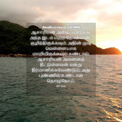 Picture 04 - லேவியராகமம் 13:20 TAMIRV - ஆசாரியன் அதைப் - Bible Verse Picture