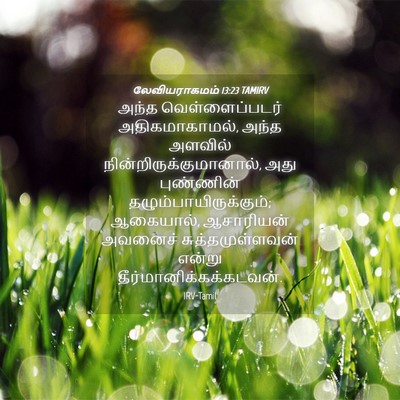 Picture 04 - லேவியராகமம் 13:23 TAMIRV - அந்த வெள்ளைப்படர் - Bible Verse Picture