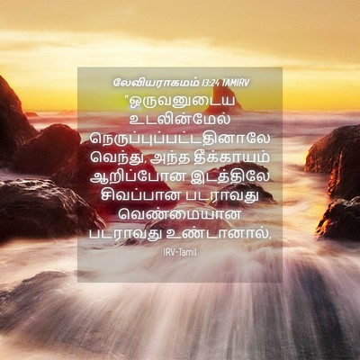 Picture 04 - லேவியராகமம் 13:24 TAMIRV - “ஒருவனுடைய - Bible Verse Picture