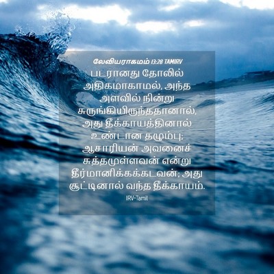 Picture 04 - லேவியராகமம் 13:28 TAMIRV - படரானது தோலில் - Bible Verse Picture