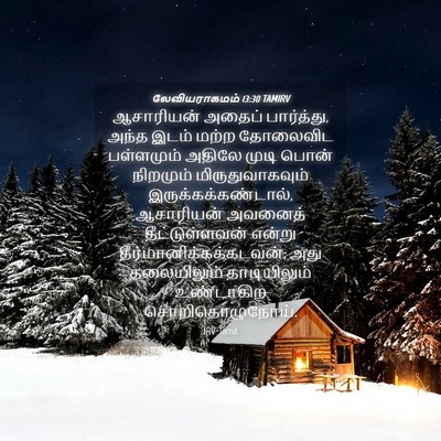 Picture 04 - லேவியராகமம் 13:30 TAMIRV - ஆசாரியன் அதைப் - Bible Verse Picture