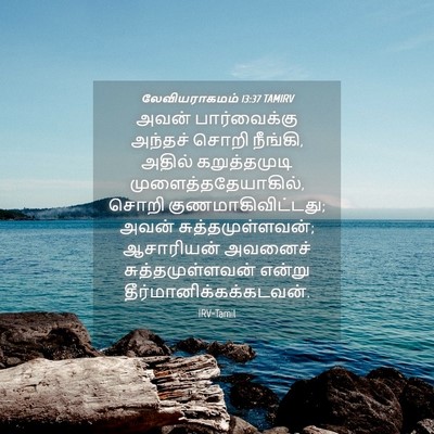 Picture 04 - லேவியராகமம் 13:37 TAMIRV - அவன் பார்வைக்கு - Bible Verse Picture