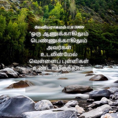 Picture 04 - லேவியராகமம் 13:38 TAMIRV - “ஒரு - Bible Verse Picture