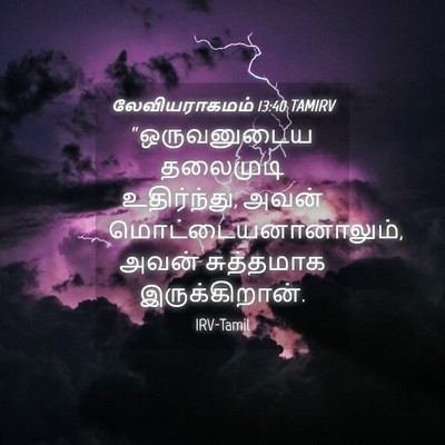 Picture 04 - லேவியராகமம் 13:40 TAMIRV - “ஒருவனுடைய - Bible Verse Picture