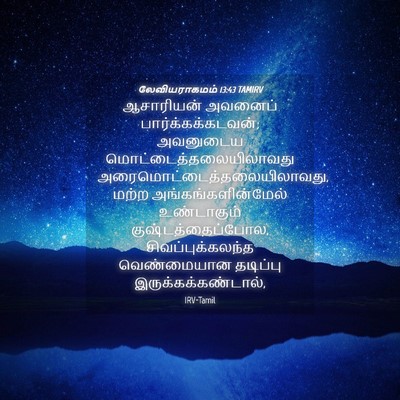Picture 04 - லேவியராகமம் 13:43 TAMIRV - ஆசாரியன் அவனைப் - Bible Verse Picture