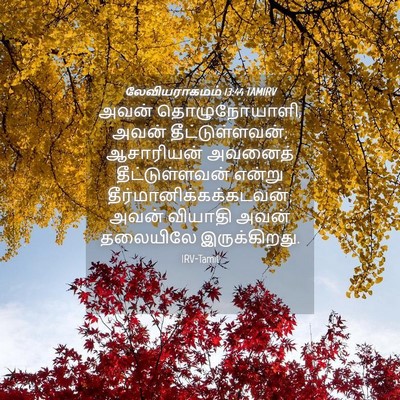 Picture 04 - லேவியராகமம் 13:44 TAMIRV - அவன் தொழுநோயாளி, - Bible Verse Picture