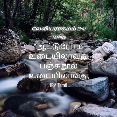 Picture 04 - லேவியராகமம் 13:47 TAMIRV - “ஆட்டுரோம - Bible Verse Picture