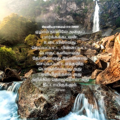 Picture 04 - லேவியராகமம் 13:51 TAMIRV - ஏழாம் நாளிலே - Bible Verse Picture