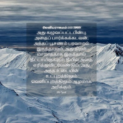 Picture 04 - லேவியராகமம் 13:55 TAMIRV - அது - Bible Verse Picture