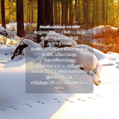 Picture 04 - லேவியராகமம் 13:56 TAMIRV - கழுவப்பட்டபின்பு - Bible Verse Picture