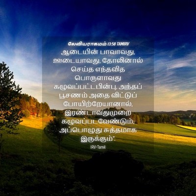 Picture 04 - லேவியராகமம் 13:58 TAMIRV - ஆடையின் பாவாவது, - Bible Verse Picture