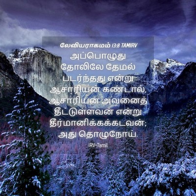 Picture 04 - லேவியராகமம் 13:8 TAMIRV - அப்பொழுது தோலிலே - Bible Verse Picture