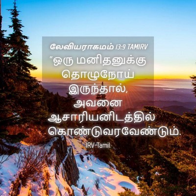 Picture 04 - லேவியராகமம் 13:9 TAMIRV - “ஒரு மனிதனுக்கு - Bible Verse Picture
