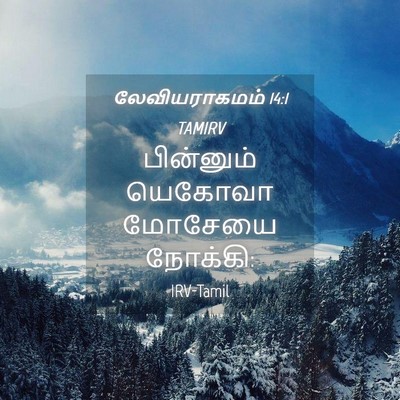 Picture 04 - லேவியராகமம் 14:1 TAMIRV - பின்னும் யெகோவா - Bible Verse Picture