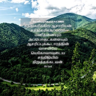Picture 04 - லேவியராகமம் 14:11 TAMIRV - சுத்திகரிக்கிற - Bible Verse Picture