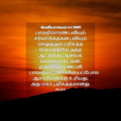 Picture 04 - லேவியராகமம் 14:13 TAMIRV - பாவநிவாரணபலியும் - Bible Verse Picture