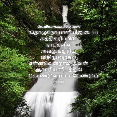 Picture 04 - லேவியராகமம் 14:2 TAMIRV -  - Bible Verse Picture