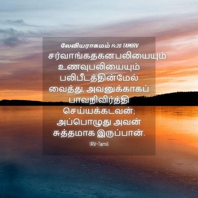 Picture 04 - லேவியராகமம் 14:20 TAMIRV -  - Bible Verse Picture