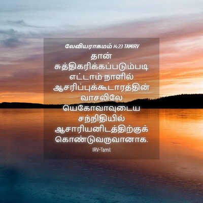 Picture 04 - லேவியராகமம் 14:23 TAMIRV - தான் - Bible Verse Picture