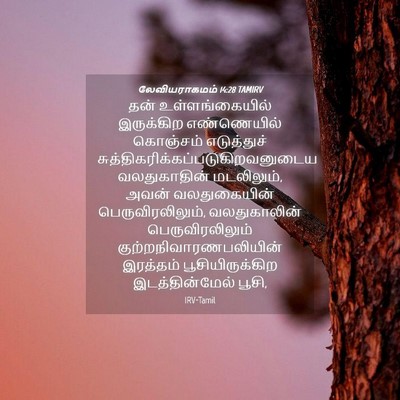 Picture 04 - லேவியராகமம் 14:28 TAMIRV - தன் உள்ளங்கையில் - Bible Verse Picture