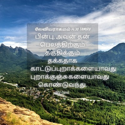 Picture 04 - லேவியராகமம் 14:30 TAMIRV - பின்பு, அவன் தன் - Bible Verse Picture