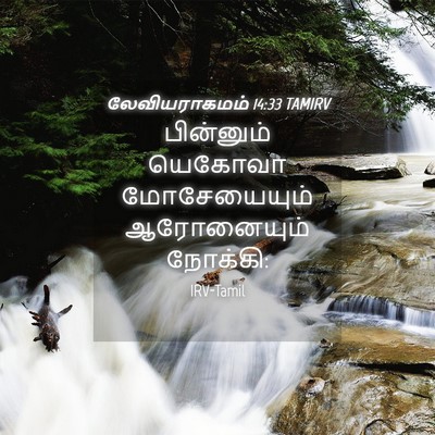 Picture 04 - லேவியராகமம் 14:33 TAMIRV - பின்னும் யெகோவா - Bible Verse Picture