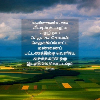 Picture 04 - லேவியராகமம் 14:41 TAMIRV - வீட்டின் உட்புறம் - Bible Verse Picture