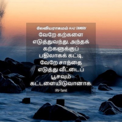 Picture 04 - லேவியராகமம் 14:42 TAMIRV - வேறே கற்களை - Bible Verse Picture