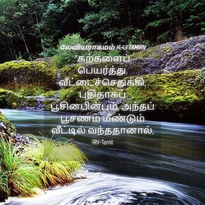 Picture 04 - லேவியராகமம் 14:43 TAMIRV - “கற்களைப் - Bible Verse Picture