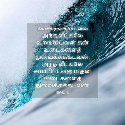 Picture 04 - லேவியராகமம் 14:47 TAMIRV - அந்த வீட்டிலே - Bible Verse Picture