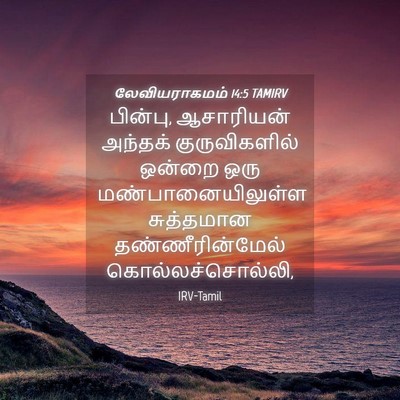 Picture 04 - லேவியராகமம் 14:5 TAMIRV - பின்பு, ஆசாரியன் - Bible Verse Picture