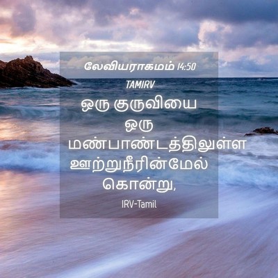 Picture 04 - லேவியராகமம் 14:50 TAMIRV - ஒரு குருவியை ஒரு - Bible Verse Picture