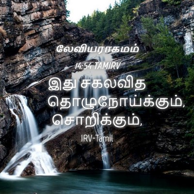 Picture 04 - லேவியராகமம் 14:54 TAMIRV - இது சகலவித - Bible Verse Picture