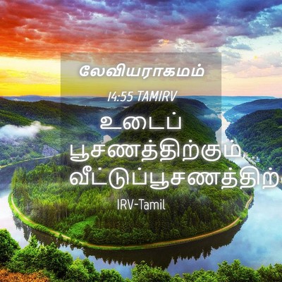Picture 04 - லேவியராகமம் 14:55 TAMIRV - உடைப் - Bible Verse Picture