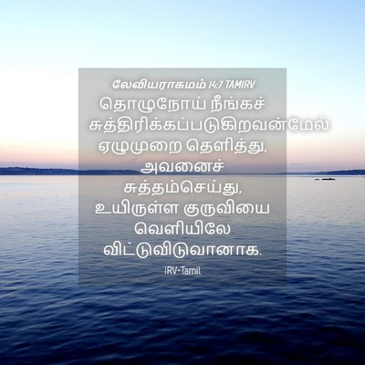 Picture 04 - லேவியராகமம் 14:7 TAMIRV - தொழுநோய் நீங்கச் - Bible Verse Picture