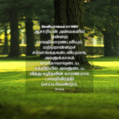 Picture 04 - லேவியராகமம் 15:15 TAMIRV - ஆசாரியன் அவைகளில் - Bible Verse Picture