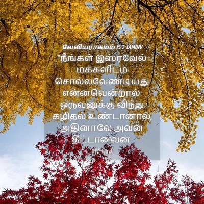 Picture 04 - லேவியராகமம் 15:2 TAMIRV - “நீங்கள் இஸ்ரவேல் - Bible Verse Picture