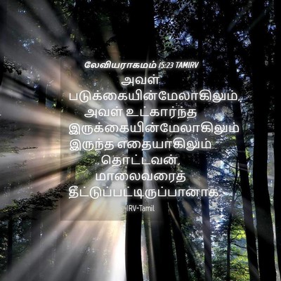 Picture 04 - லேவியராகமம் 15:23 TAMIRV - அவள் - Bible Verse Picture