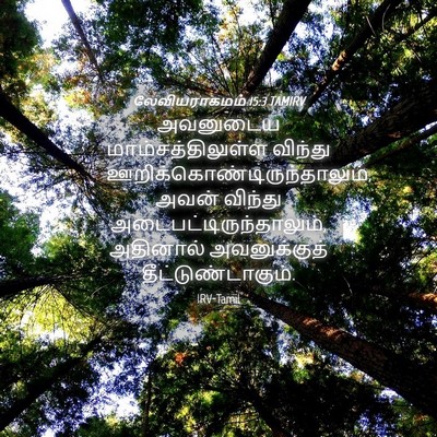 Picture 04 - லேவியராகமம் 15:3 TAMIRV - அவனுடைய - Bible Verse Picture