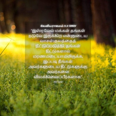 Picture 04 - லேவியராகமம் 15:31 TAMIRV - “இஸ்ரவேல் மக்கள் - Bible Verse Picture